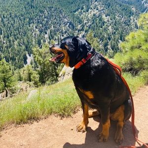 Meet your Posher, Tonicia